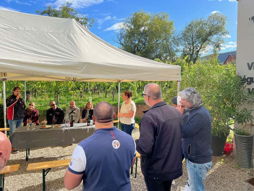 Dare to Alsace Wine with a Feminine Touch - One hour among the Alsace vines