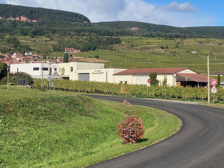 Dare to Alsace Wine with a Feminine Touch - Is $35 a fair price?
