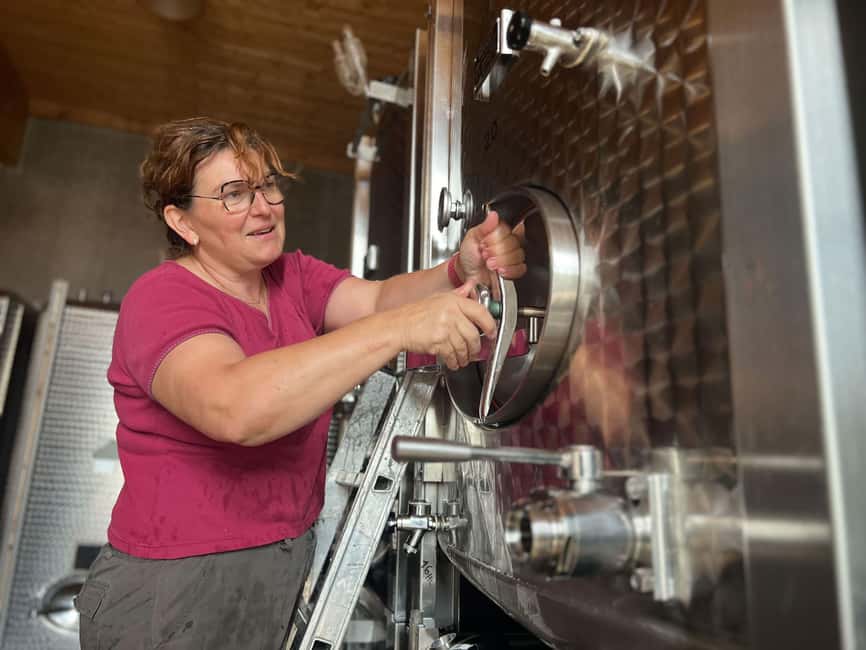 Dare to Alsace Wine with a Feminine Touch - Who will enjoy this two-hour visit?