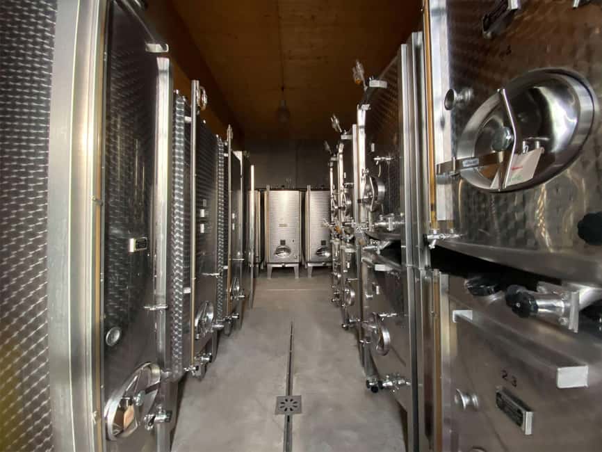 Dare to Alsace Wine with a Feminine Touch - Organic winegrowing with a family point of view
