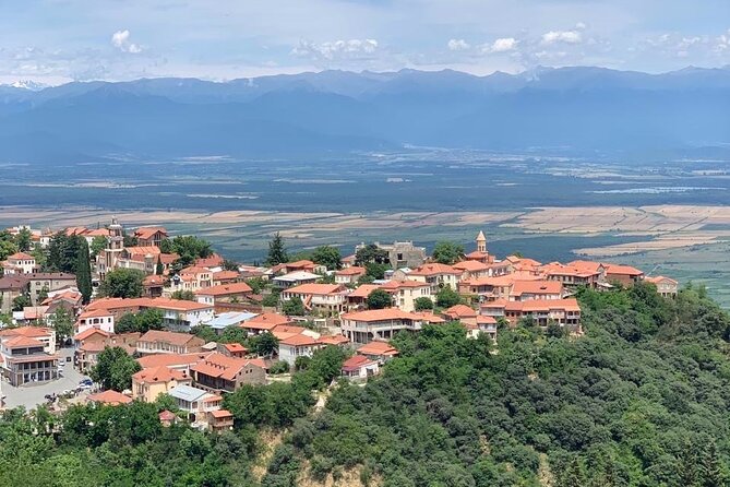 Day tour to Kakheti wine region Georgia - Pirosmani’s small museum and a big Georgian story