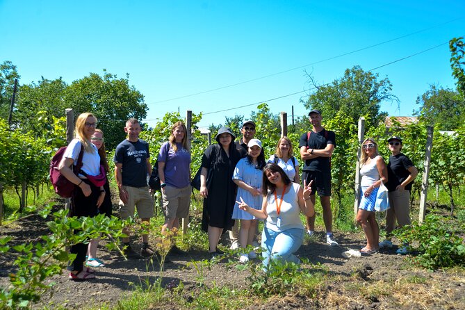 Day Trip to Kakheti Wine Region Including 9 Wine Tastings - KTW Winery and the biggest tasting