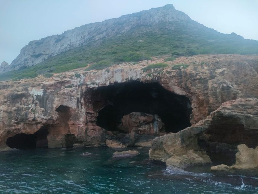 Denia: Cova tallada Catamaran Trip w/ Mussel Tasting & Wine - Who Will Enjoy This Boat Ride Most?