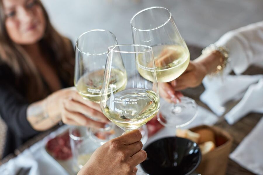 Desenzano: Lugana Wine-Tasting and Vineyard Tour - Key points to know before booking