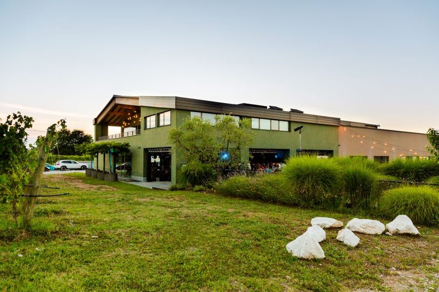 Desenzano: Lugana Wine-Tasting and Vineyard Tour - Who should book this experience