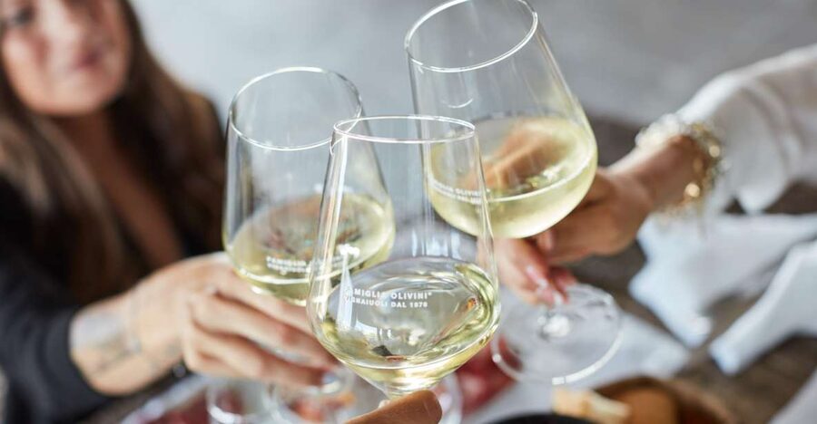 Desenzano: Lugana Wine-Tasting and Vineyard Tour - Why this winery makes a good Lake Garda side trip