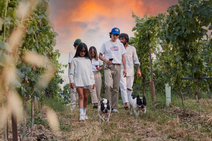 Desenzano: Lugana Wine-Tasting and Vineyard Tour - Walking the sustainable vineyards