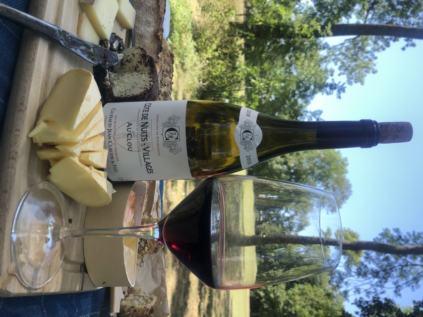 Dijon: Cheese and Burgundy Wine Tasting Workshop - Practical details that matter