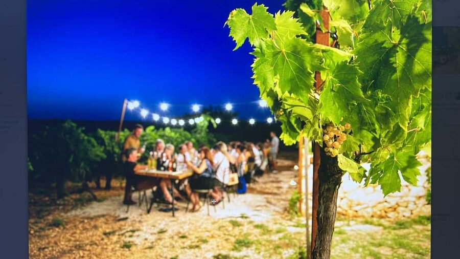 Dinner in the vineyard and wine tasting under the stars - Handmade orecchiette, Apulia’s signature pasta