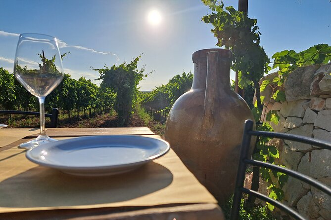 Dinner in the vineyard with wine tasting and walk - The shared table and family welcome