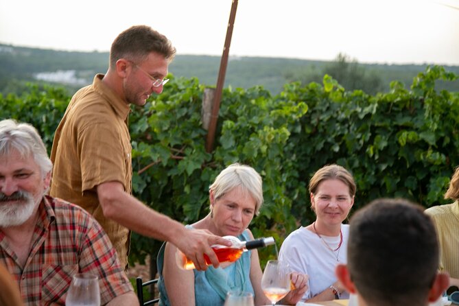 Dinner in the vineyard with wine tasting and walk - Important practical details before booking