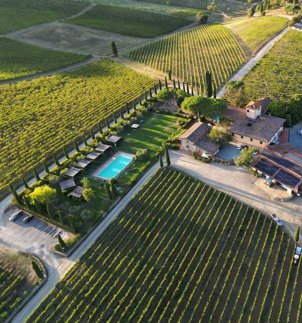 Discover Chianti Classico wines with a visit and tasting at Viticcio - A compact introduction to Chianti Classico at Viticcio