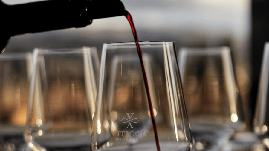 Discover Chianti Classico wines with a visit and tasting at Viticcio - The setting and the food beyond the wine