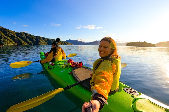 Discover Marlborough Wine - Afternoon Marlborough Wine Tour - Price, timing, and the real value