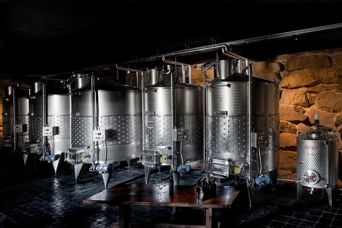 Discover Sustainable Wines in a Guided Tour and Tasting - A sustainable winery just outside Arezzo