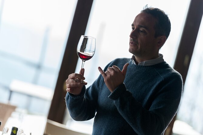 Discover Sustainable Wines in a Guided Tour and Tasting - Phase one: walking through the organic vineyard