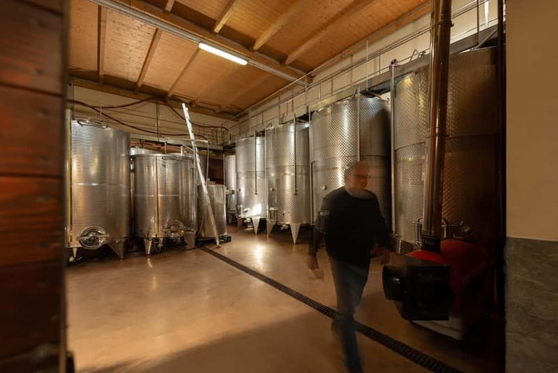 Dogliani: Tasting of 7 Wines in the Heart of the Langhe - Inside the cellar: from fermentation to bottle