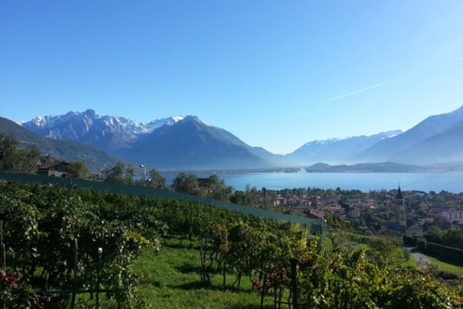 Domaso: Wine Tasting at the Winery on Como Lake - A family winery above Lake Como