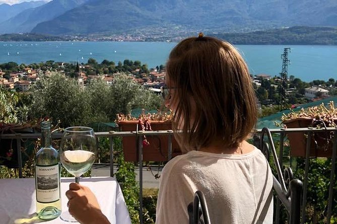 Domaso: Wine Tasting at the Winery on Como Lake - The terrace is the main event