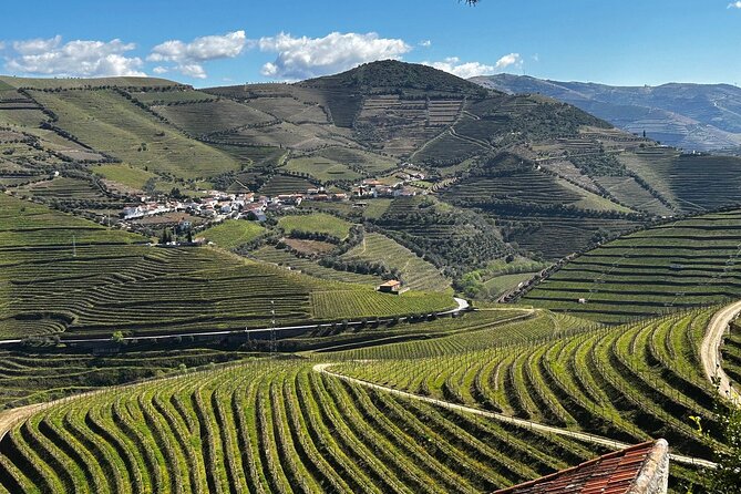 Douro Valley Half-Day Tour with Winery and Lunch From Porto - Key Points to Know Before Booking