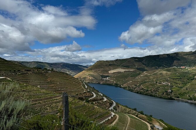 Douro Valley Half-Day Tour with Winery and Lunch From Porto - The Scenic Ride Into the Douro Valley