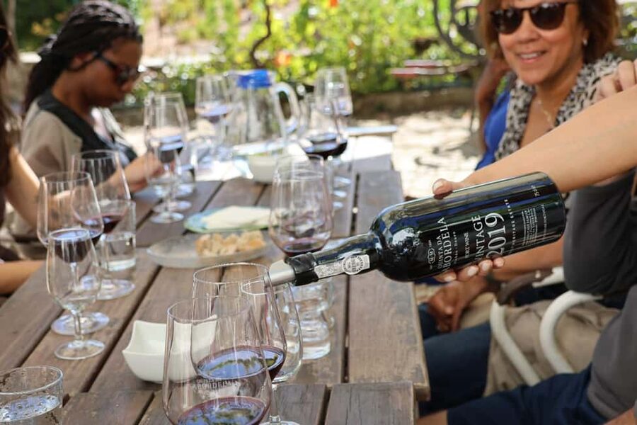 Douro Valley: Half-Day, with 1 winery & 1-h boat tour - Why this Douro Valley tour works well