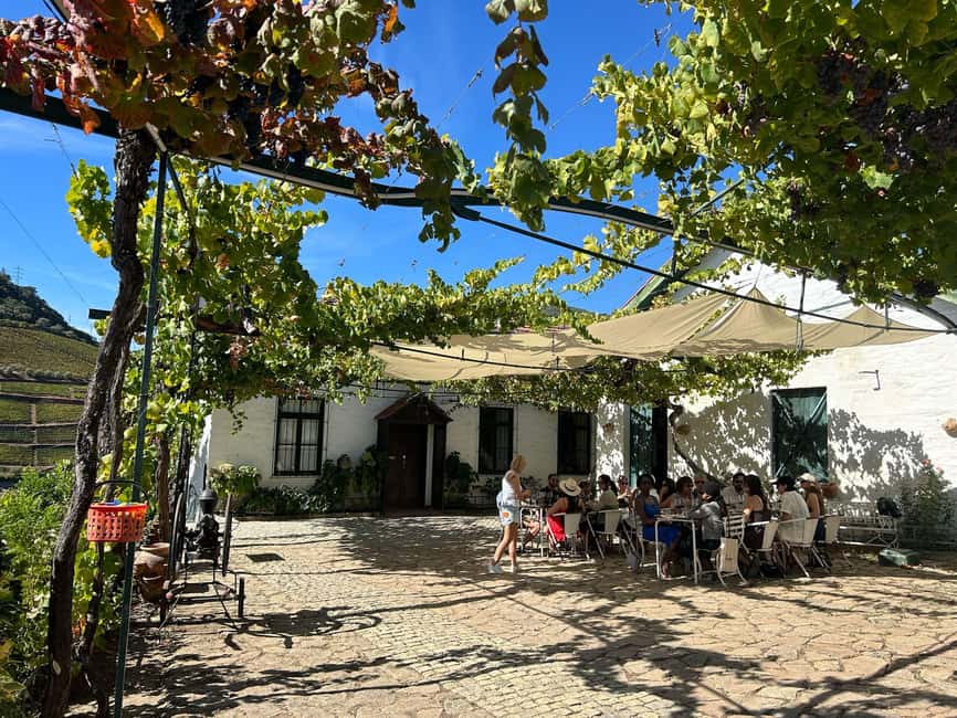 Douro Valley: Half-Day, with 1 winery & 1-h boat tour - What the $80 price includes