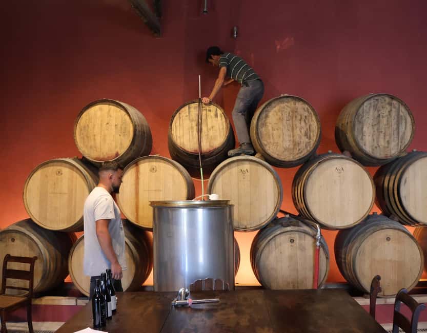 Douro Valley: Half-Day, with 1 winery & 1-h boat tour - Should you book this Douro Valley experience?