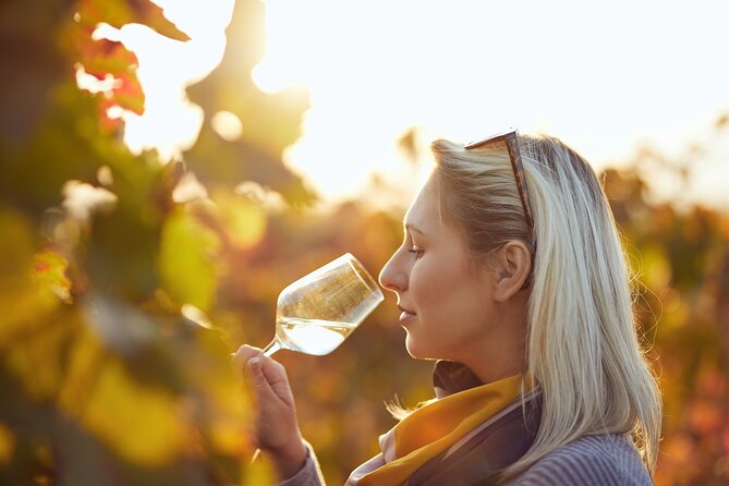 Douro Valley: Historical Sites, Wine Experience, Lunch & Cruise - Pinhão and the 50-minute Rabelo cruise