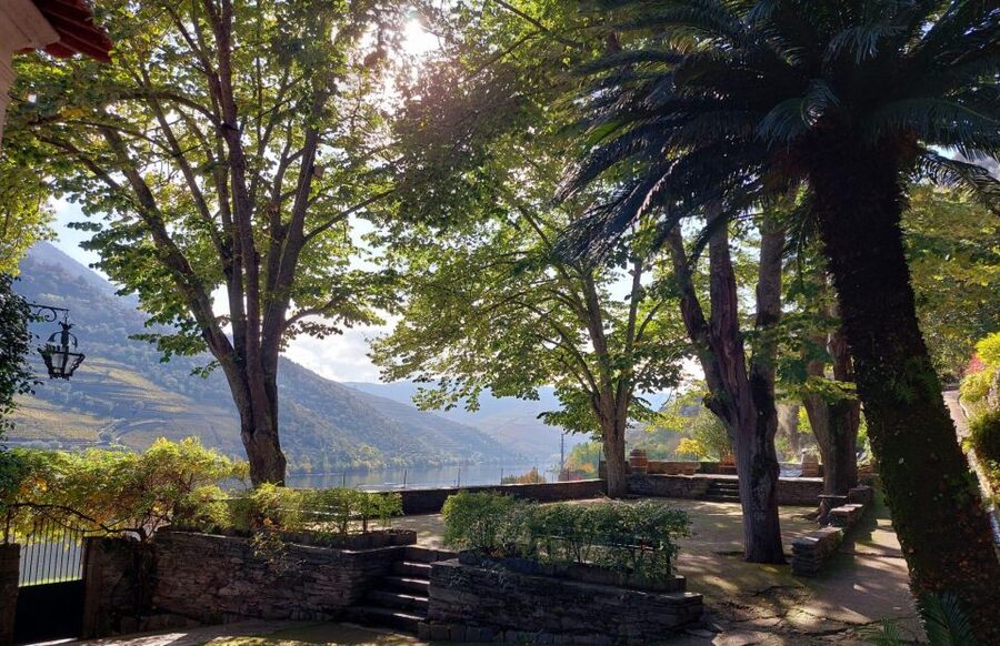 Douro Valley: (Pinhão) Quinta da Foz - Tour&Tasting 5 WINES - Inside the old cellar and its granite tubs