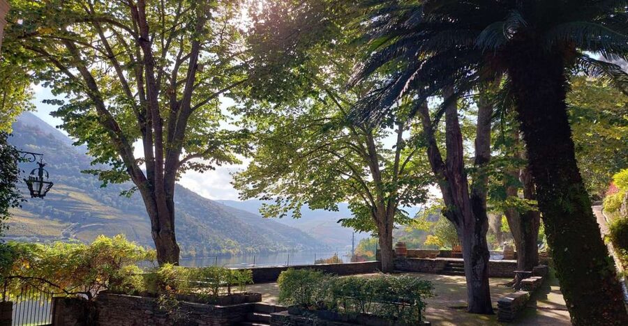 Douro Valley: (Pinhão) Quinta da Foz - Tour&Tasting 5 WINES - Should you book Quinta da Foz?