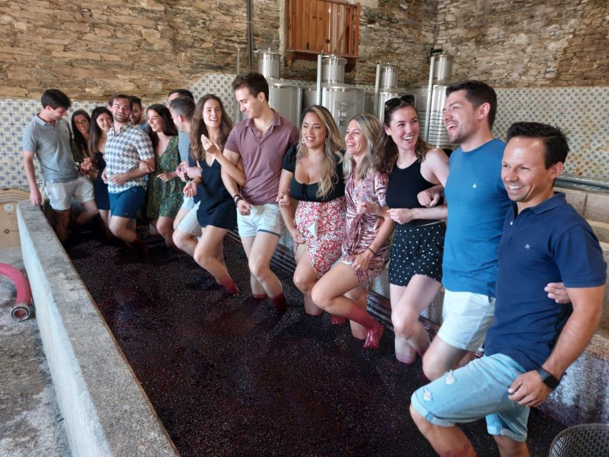 Douro Valley: (Pinhão) Quinta da Foz - Tour&Tasting 5 WINES - Five glasses that favor dry Douro wines