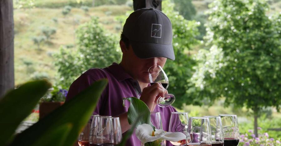Douro Valley: Premium Port Tasting Winery Tour & River Views - Key points to know before you book