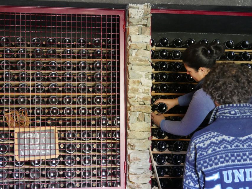 Douro Valley: Premium Port Tasting Winery Tour & River Views - Arriving at the winery near Folgosa