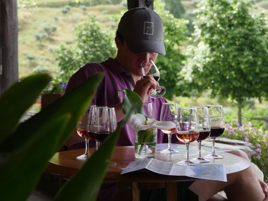Douro Valley: Premium Port Tasting Winery Tour & River Views - The old stone lagares and foot treading