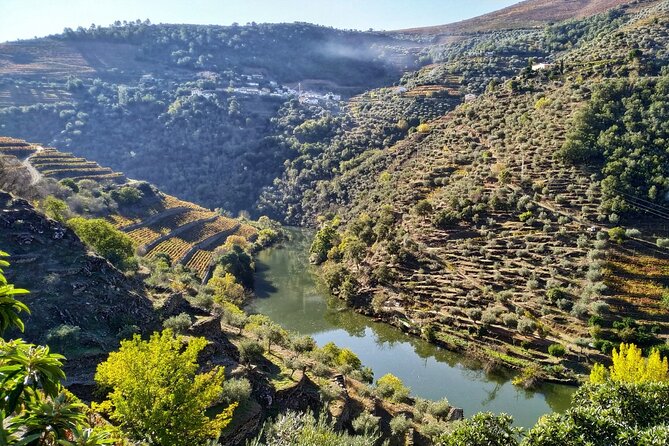 Douro Valley Prime Tour: Wine Tastings, Boat & Lunch from Porto - From Vinho Verde country to the Douro hills