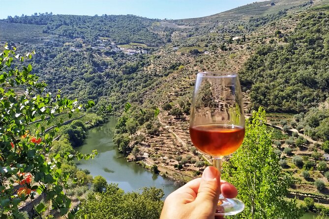Douro Valley Prime Tour: Wine Tastings, Boat & Lunch from Porto - The guides make a real difference