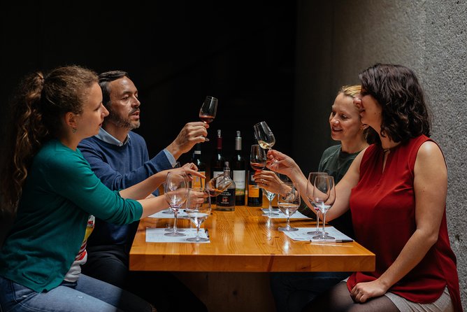 Douro Valley Private Day Trip including Boat Ride & Wine Tasting - Who should book this Douro Valley day trip?