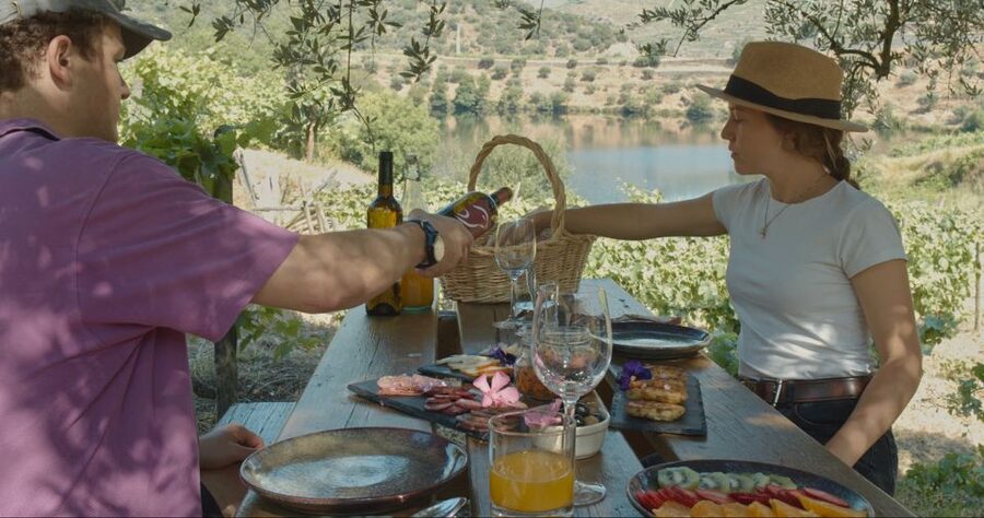 Douro Valley: Quinta do Tedo Wine Experience with Picnic - Key points to know before booking