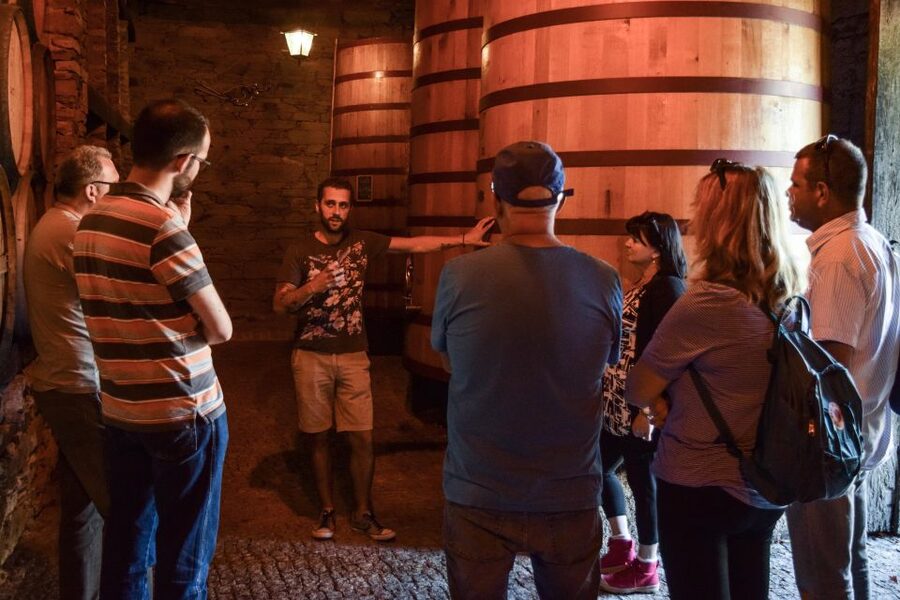 Douro Valley: Quinta do Tedo Wine Experience with Picnic - A Douro picnic with a real sense of place