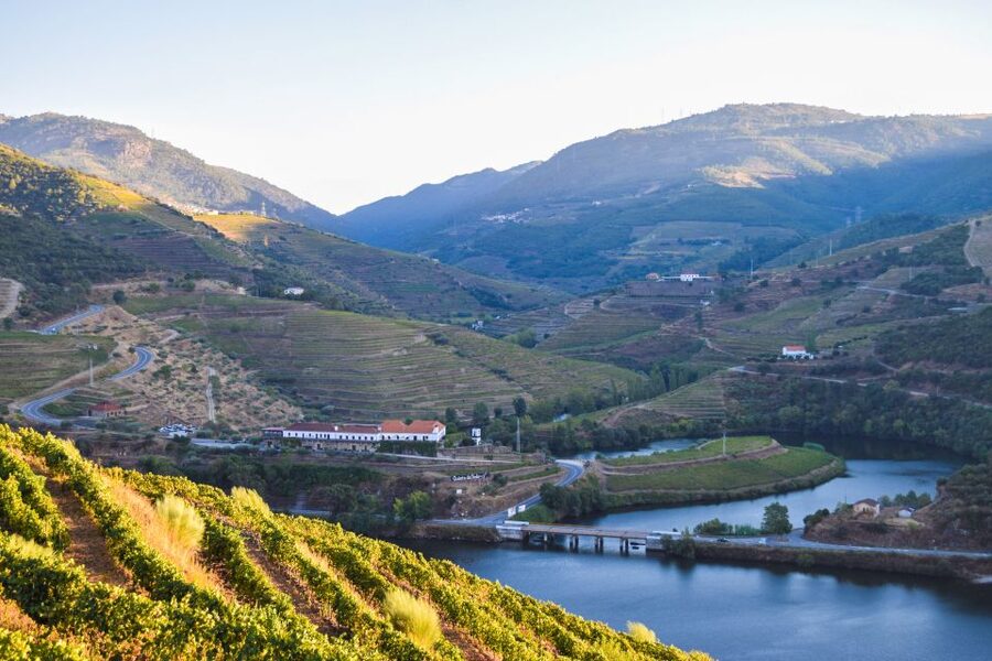 Douro Valley: Quinta do Tedo Wine Experience with Picnic - Seeing the vinification center and wine cellars