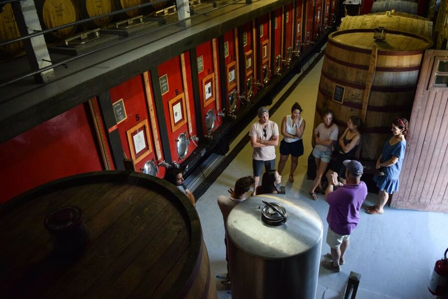 Douro Valley: Quinta do Tedo Wine Experience with Picnic - Tasting Douro DOC wines before lunch