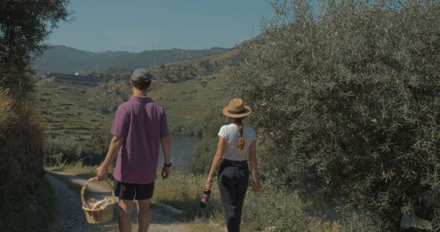 Douro Valley: Quinta do Tedo Wine Experience with Picnic - Lunch beneath the centennial olive tree