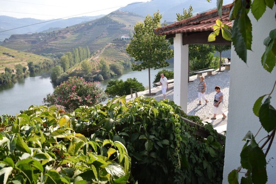 Douro Valley: Quinta do Tedo Wine Experience with Picnic - The view, the heat, and the weather plan