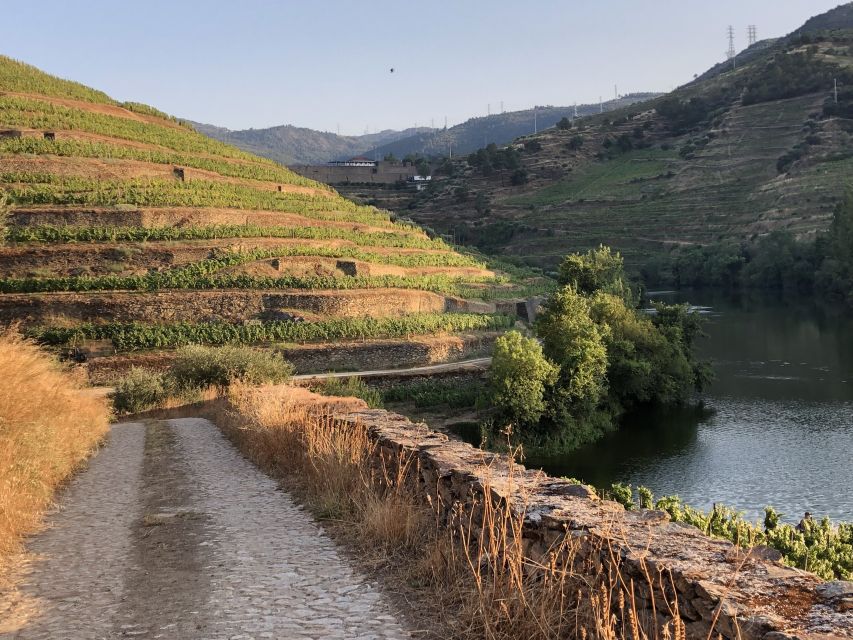Douro Valley: Quinta do Tedo Wine Experience with Picnic - What the $65 price really covers