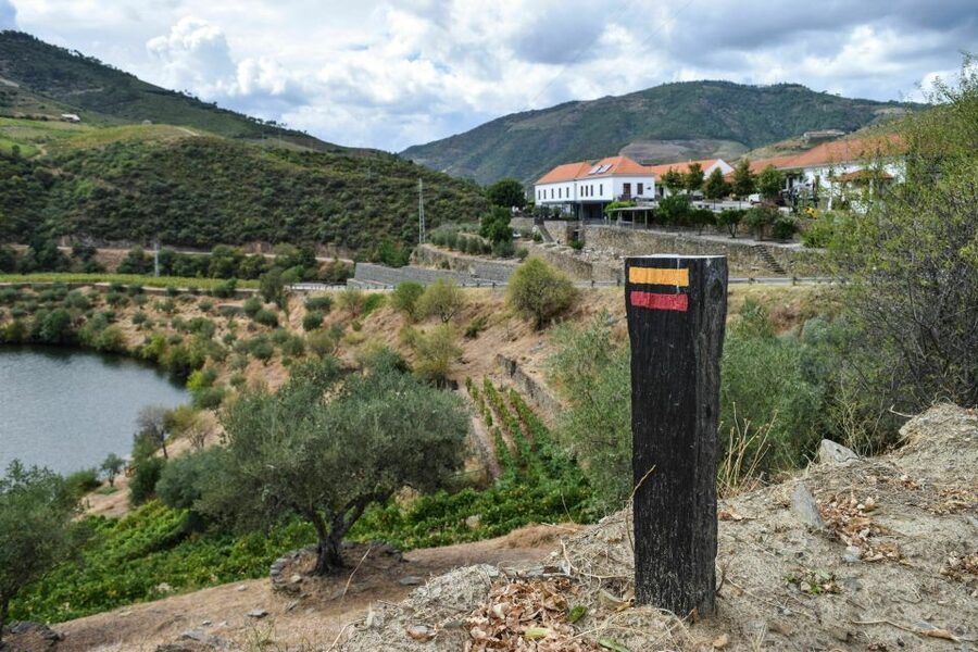 Douro Valley: Quinta do Tedo Wine Experience with Picnic - Arriving at Quinta do Tedo in Folgosa