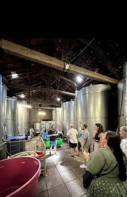 Douro Valley: Small-Group Tour, Winery's Lunch, Private Boat - The first family winery and traditional production