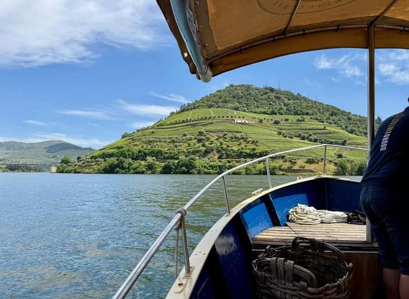 Douro Valley: Small-Group Tour, Winery's Lunch, Private Boat - Who should book this experience?
