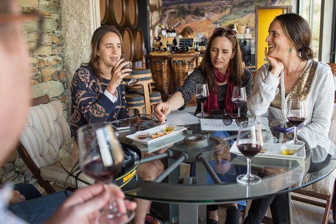 Douro Valley Small-Group Tour with Wine Tasting, Lunch and Boat - Seeing the valley from the Douro River