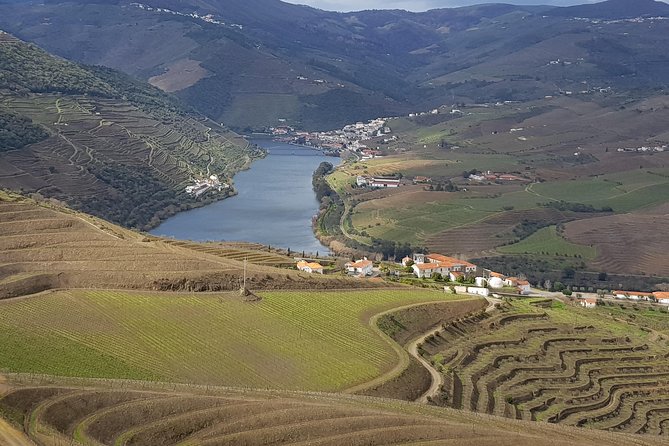 Douro Valley Tour: 2 Vineyard Visits, River Cruise, Winery Lunch - The day in six useful points